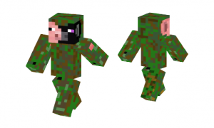 Army Ender Pigman Skin