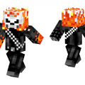 ghost-rider-skin-5897760.png