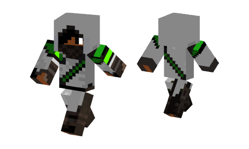 Green Assasin Skin