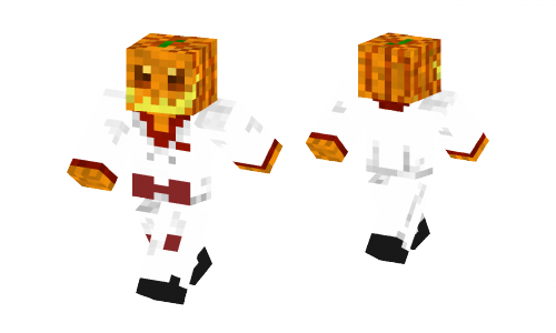 Pumpkin Skin