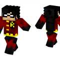 robin-skin-8436080.png