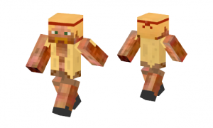 Survival Guy Skin